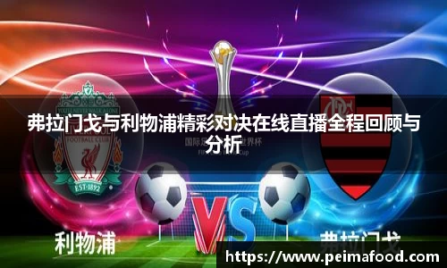 弗拉门戈与利物浦精彩对决在线直播全程回顾与分析