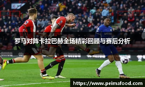 罗马对阵卡拉巴赫全场精彩回顾与赛后分析