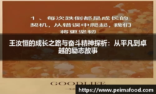 王汝恒的成长之路与奋斗精神探析：从平凡到卓越的励志故事