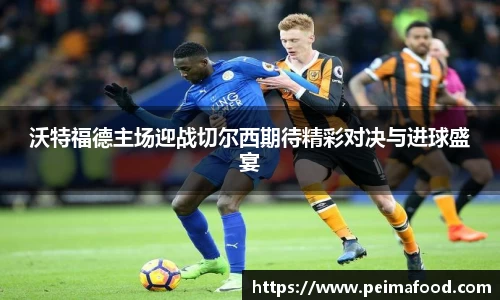 沃特福德主场迎战切尔西期待精彩对决与进球盛宴